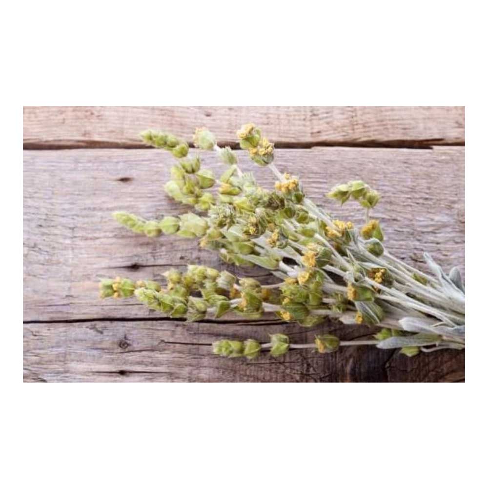 Τσάι του βουνού